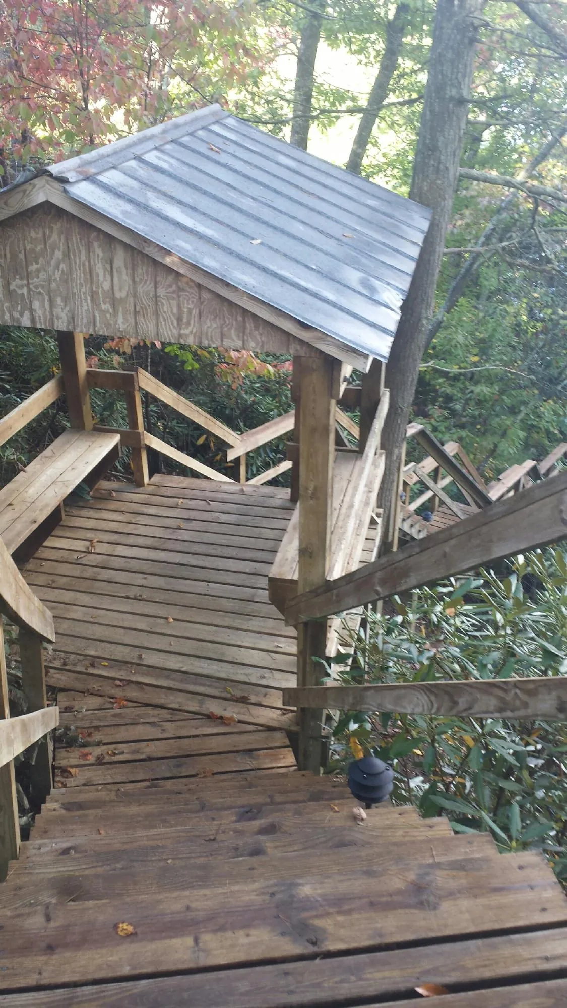 Metal roofed shelter over wooden steps on a wooded walkway — Skylight Repair & Installation work by our crew in Munds Park